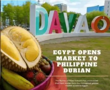 Philippine Durian Cleared for Export to Egypt, Boosting Agricultural Trade Ties