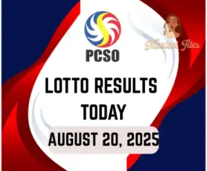 pcso lotto results today august 20, 2025